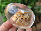 Polished Namibian Desert Picture Stone Jasper Eggs In Resin Egg  - Sold Per Item - From Ais-Ais Namibia - Toprock Gemstones and Minerals 