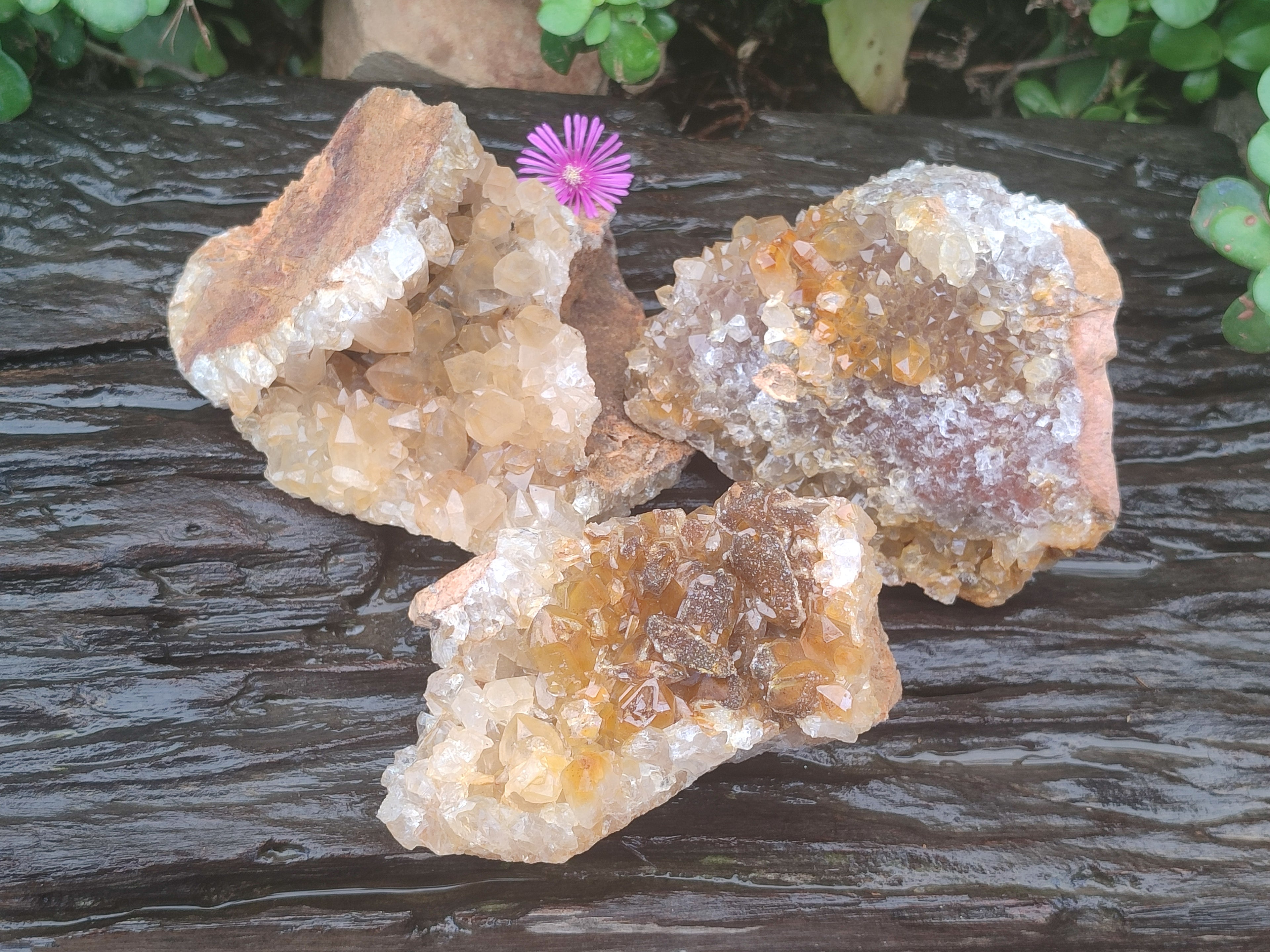 Natural Limonite Quartz Clusters x 3 From Zambia - Toprock Gemstones and Minerals 