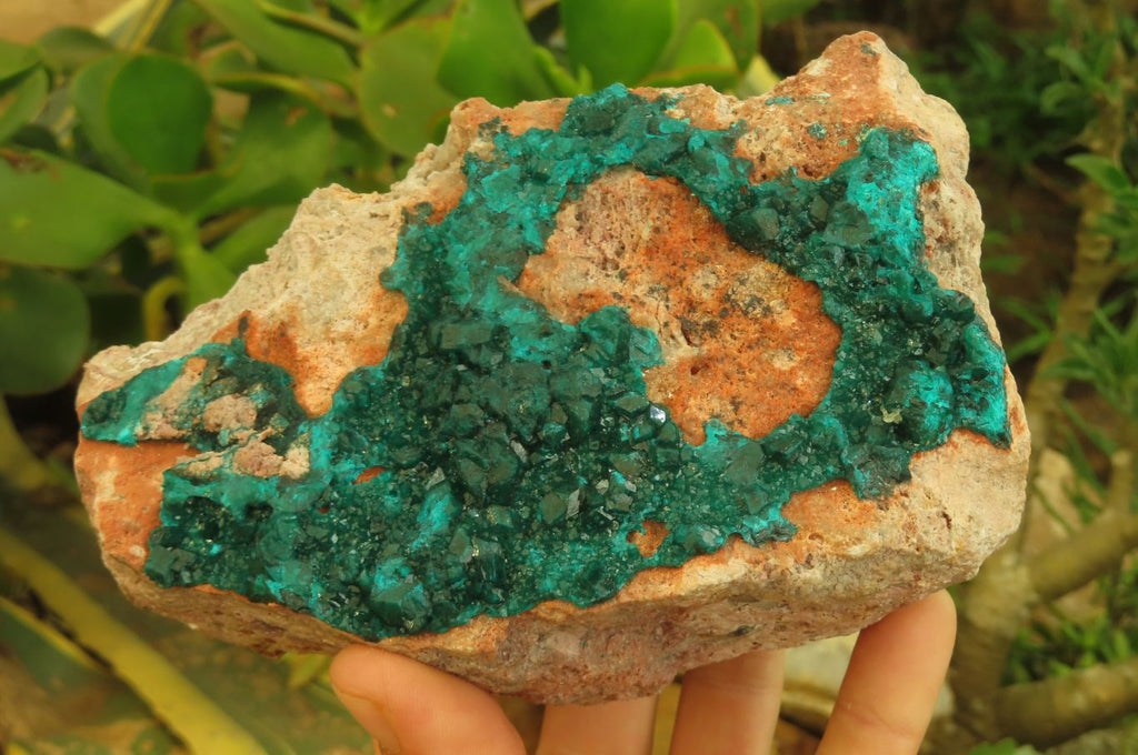 Natural Dioptase On Dolomite Specimen x 1 From Likasi, Congo - Toprock Gemstones and Minerals 