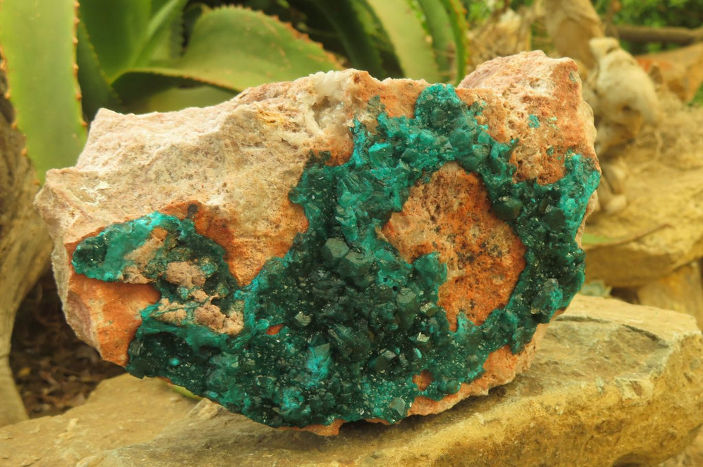 Natural Dioptase On Dolomite Specimen x 1 From Likasi, Congo - Toprock Gemstones and Minerals 