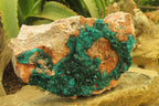 Natural Dioptase On Dolomite Specimen x 1 From Likasi, Congo - Toprock Gemstones and Minerals 