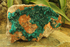 Natural Dioptase On Dolomite Specimen x 1 From Likasi, Congo - Toprock Gemstones and Minerals 
