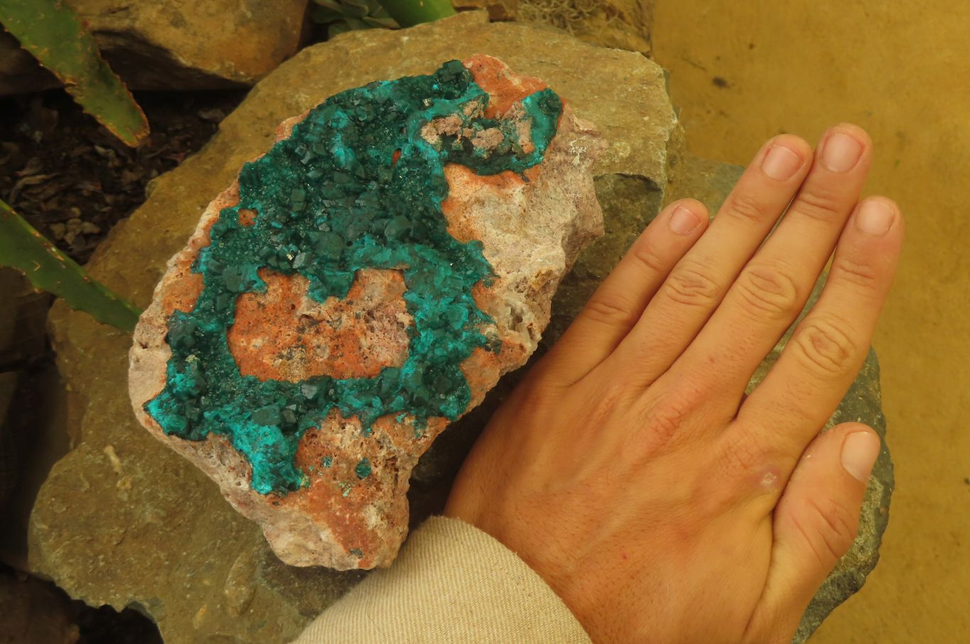 Natural Dioptase On Dolomite Specimen x 1 From Likasi, Congo - Toprock Gemstones and Minerals 