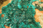 Natural Dioptase On Dolomite Specimen x 1 From Likasi, Congo - Toprock Gemstones and Minerals 