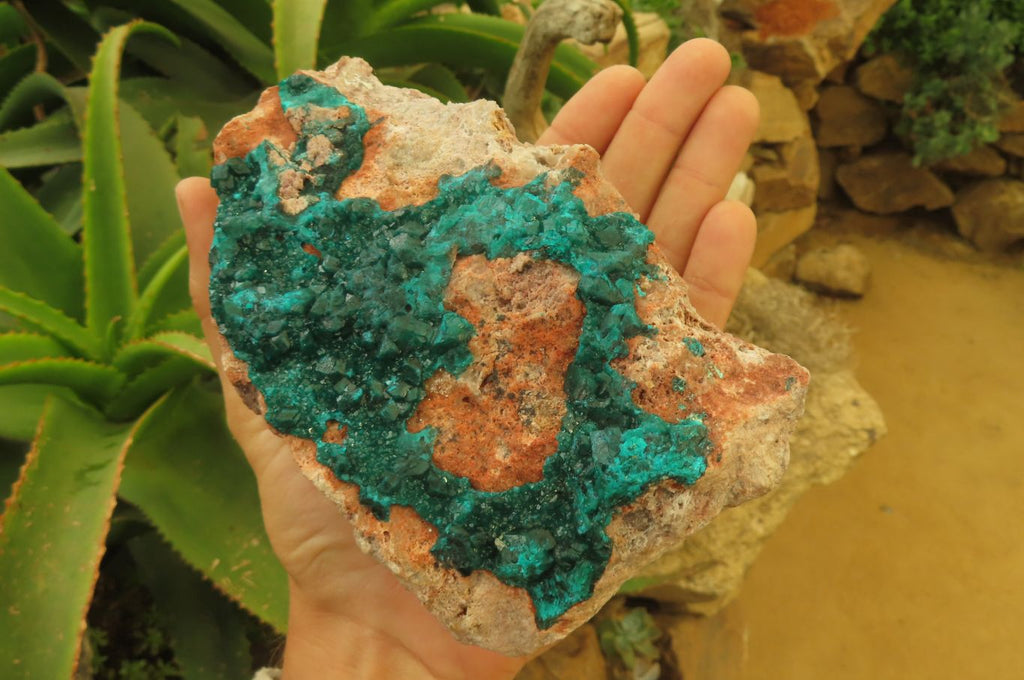 Natural Dioptase On Dolomite Specimen x 1 From Likasi, Congo - Toprock Gemstones and Minerals 