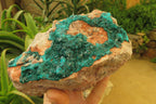 Natural Dioptase On Dolomite Specimen x 1 From Likasi, Congo - Toprock Gemstones and Minerals 