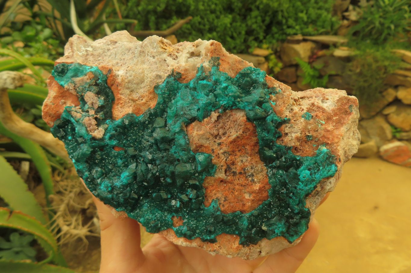 Natural Dioptase On Dolomite Specimen x 1 From Likasi, Congo - Toprock Gemstones and Minerals 