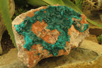 Natural Dioptase On Dolomite Specimen x 1 From Likasi, Congo - Toprock Gemstones and Minerals 