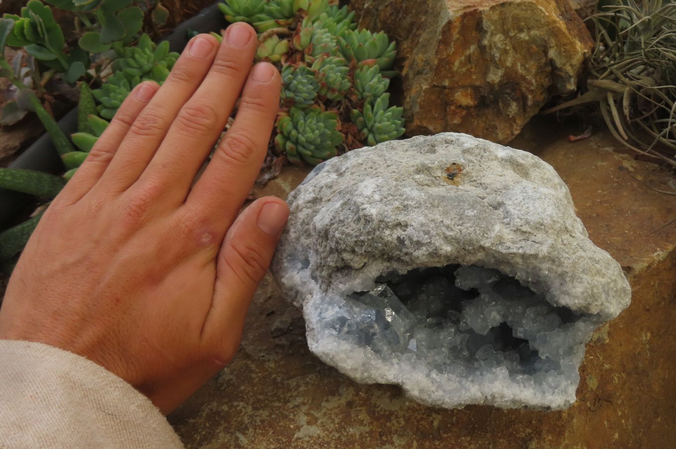 Natural Celestite Geode Specimen x 1 From Sakoany, Madagascar - Toprock Gemstones and Minerals 