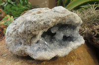 Natural Celestite Geode Specimen x 1 From Sakoany, Madagascar - Toprock Gemstones and Minerals 