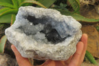 Natural Celestite Geode Specimen x 1 From Sakoany, Madagascar - Toprock Gemstones and Minerals 
