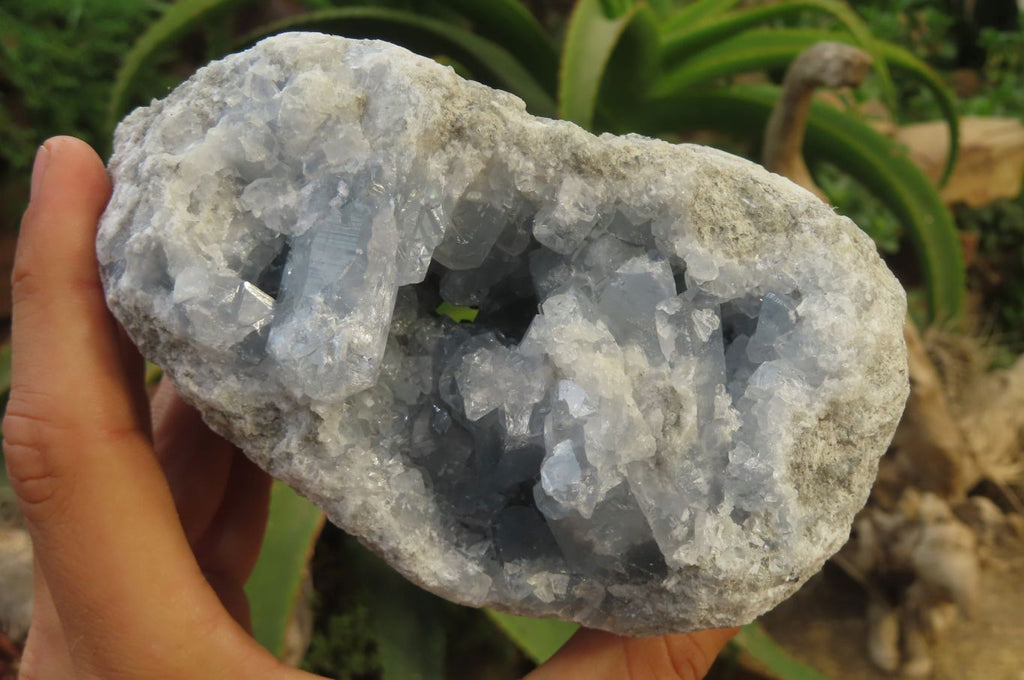 Natural Celestite Geode Specimen x 1 From Sakoany, Madagascar - Toprock Gemstones and Minerals 