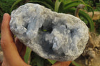 Natural Celestite Geode Specimen x 1 From Sakoany, Madagascar - Toprock Gemstones and Minerals 