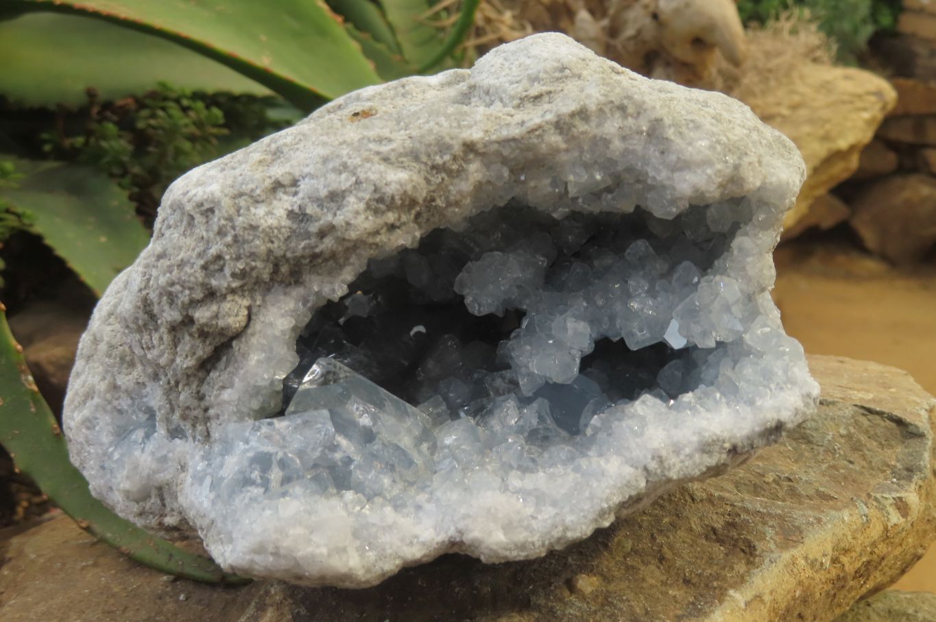 Natural Celestite Geode Specimen x 1 From Sakoany, Madagascar - Toprock Gemstones and Minerals 