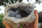 Natural Celestite Geode Specimen x 1 From Sakoany, Madagascar - Toprock Gemstones and Minerals 