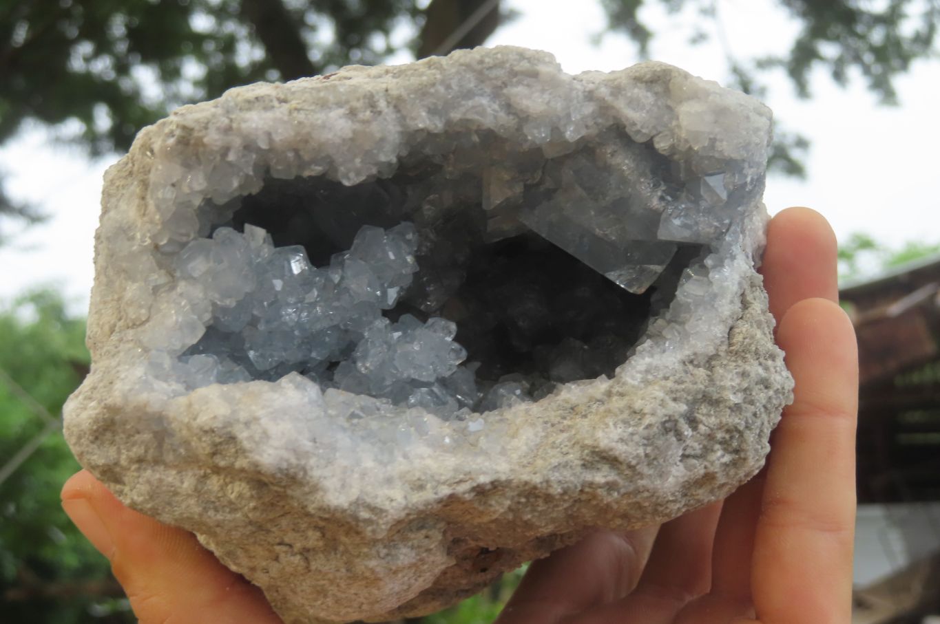 Natural Celestite Geode Specimen x 1 From Sakoany, Madagascar - Toprock Gemstones and Minerals 
