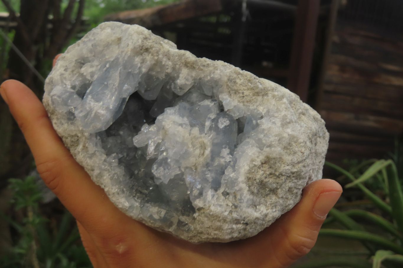 Natural Celestite Geode Specimen x 1 From Sakoany, Madagascar - Toprock Gemstones and Minerals 