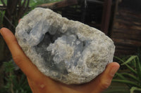 Natural Celestite Geode Specimen x 1 From Sakoany, Madagascar - Toprock Gemstones and Minerals 