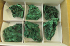 Natural Silky Malachite Specimens x 6 From Kasompe, Congo - Toprock Gemstones and Minerals 