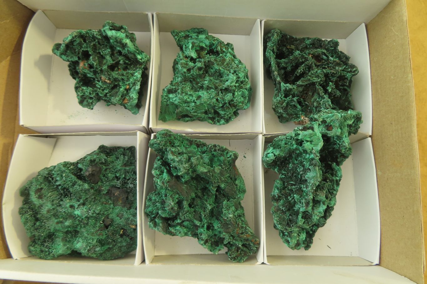 Natural Silky Malachite Specimens x 6 From Kasompe, Congo - Toprock Gemstones and Minerals 