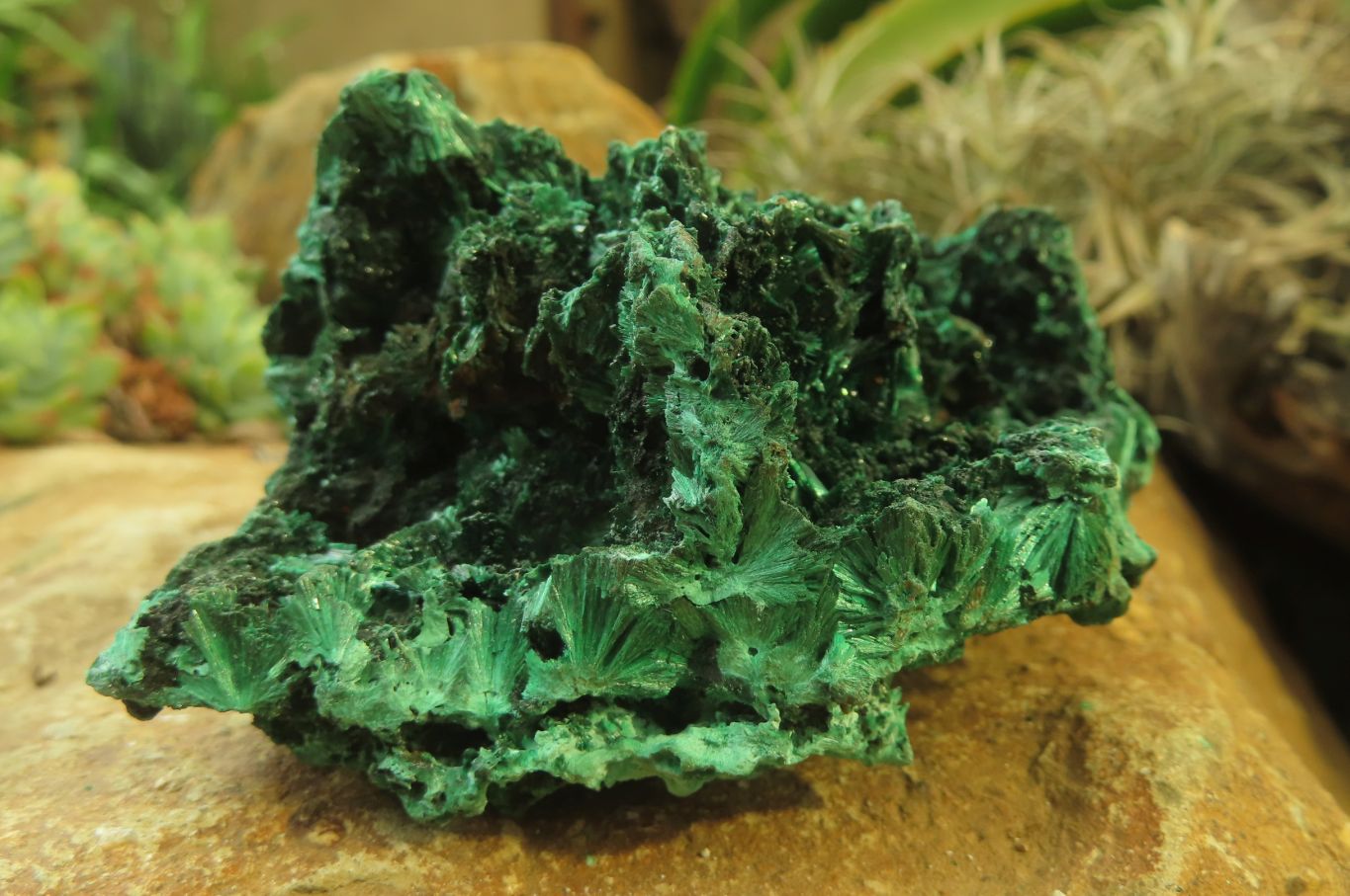 Natural Silky Malachite Specimens x 6 From Kasompe, Congo - Toprock Gemstones and Minerals 