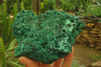 Natural Silky Malachite Specimens x 3 From Kasompe, Congo - Toprock Gemstones and Minerals 