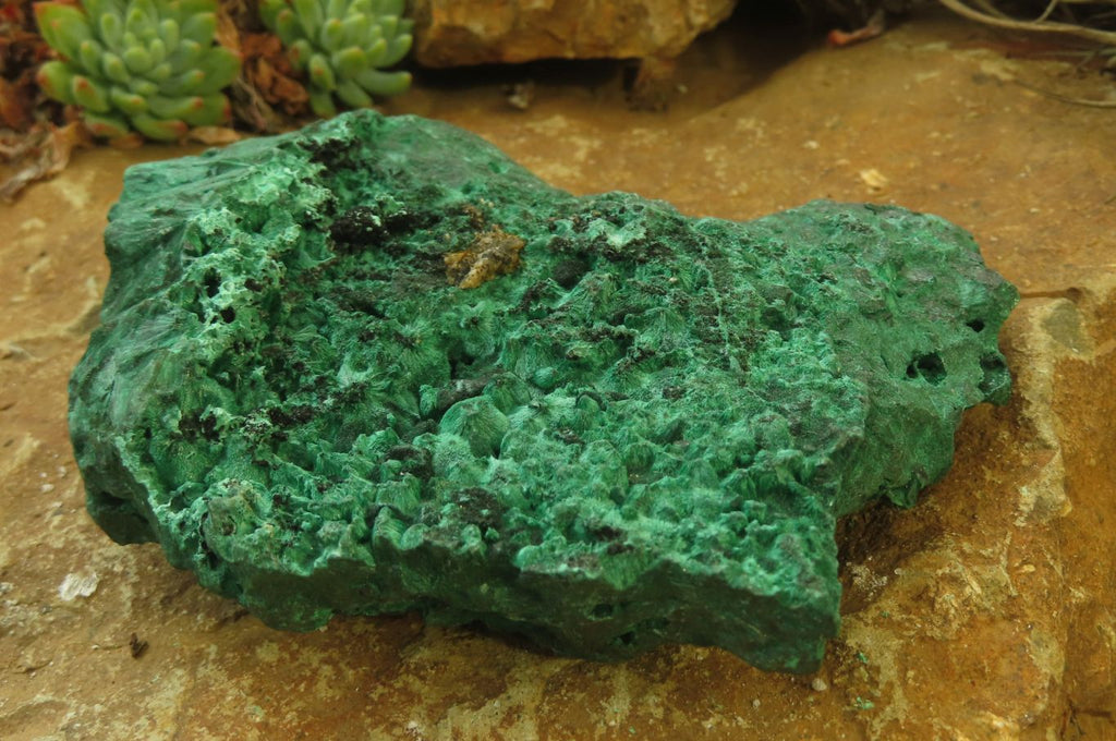 Natural Silky Malachite Specimens x 3 From Kasompe, Congo - Toprock Gemstones and Minerals 