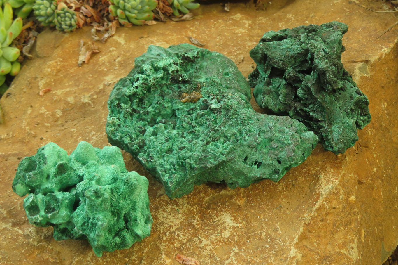 Natural Silky Malachite Specimens x 3 From Kasompe, Congo - Toprock Gemstones and Minerals 