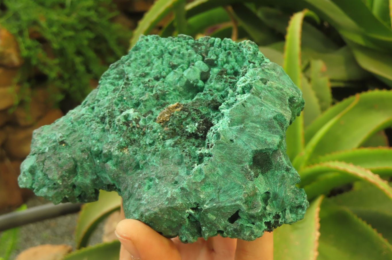 Natural Silky Malachite Specimens x 3 From Kasompe, Congo - Toprock Gemstones and Minerals 