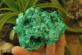 Natural Silky Malachite Specimens x 3 From Kasompe, Congo - Toprock Gemstones and Minerals 