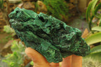 Natural Silky Malachite Specimens x 3 From Kasompe, Congo - Toprock Gemstones and Minerals 