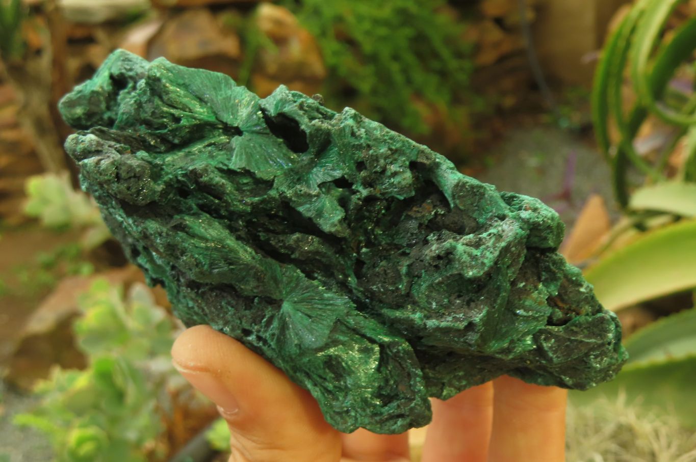 Natural Silky Malachite Specimens x 3 From Kasompe, Congo - Toprock Gemstones and Minerals 