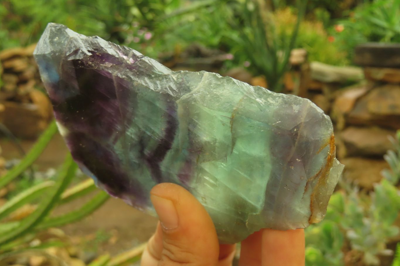 Polished Watermelon Fluorite Slices x 4 From Uis, Namibia - Toprock Gemstones and Minerals 