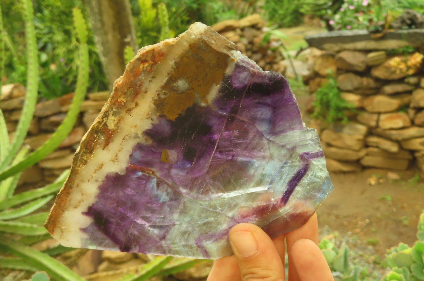 Polished Watermelon Fluorite Slices x 4 From Uis, Namibia - Toprock Gemstones and Minerals 