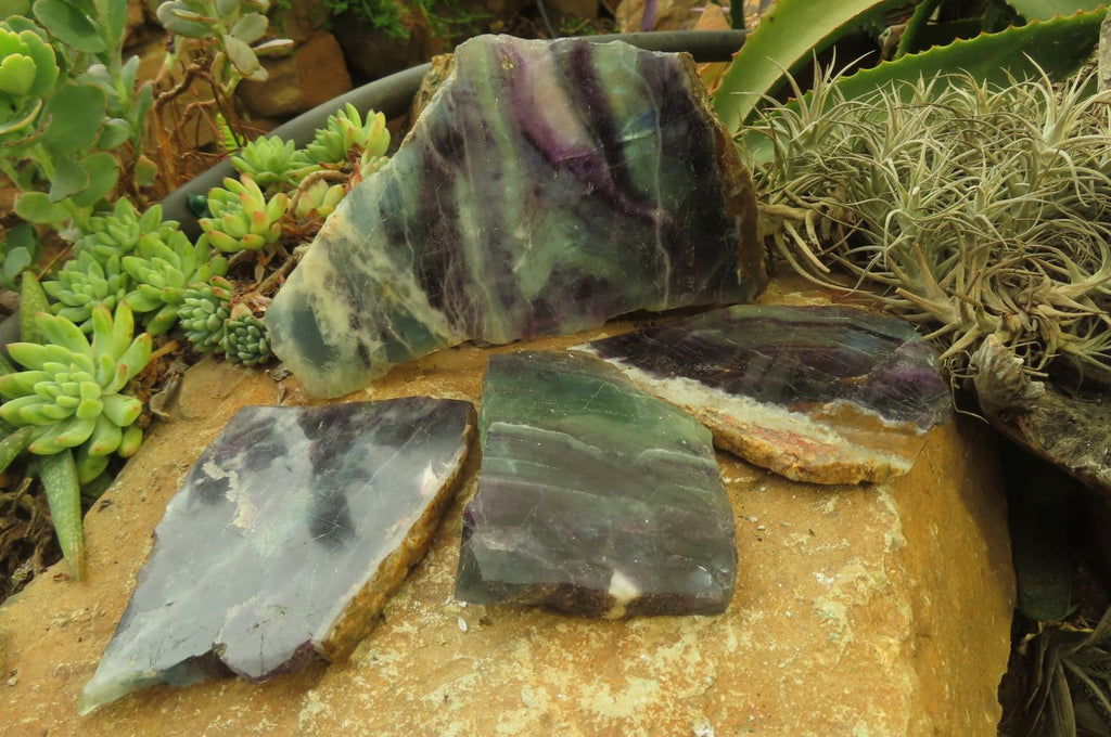Polished Watermelon Fluorite Slices x 4 From Uis, Namibia - Toprock Gemstones and Minerals 