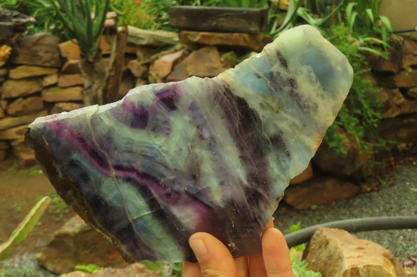 Polished Watermelon Fluorite Slices x 4 From Uis, Namibia - Toprock Gemstones and Minerals 