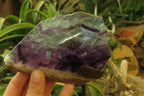 Polished Watermelon Fluorite Slices x 4 From Uis, Namibia - Toprock Gemstones and Minerals 