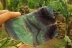 Polished Watermelon Fluorite Slices x 4 From Uis, Namibia - Toprock Gemstones and Minerals 