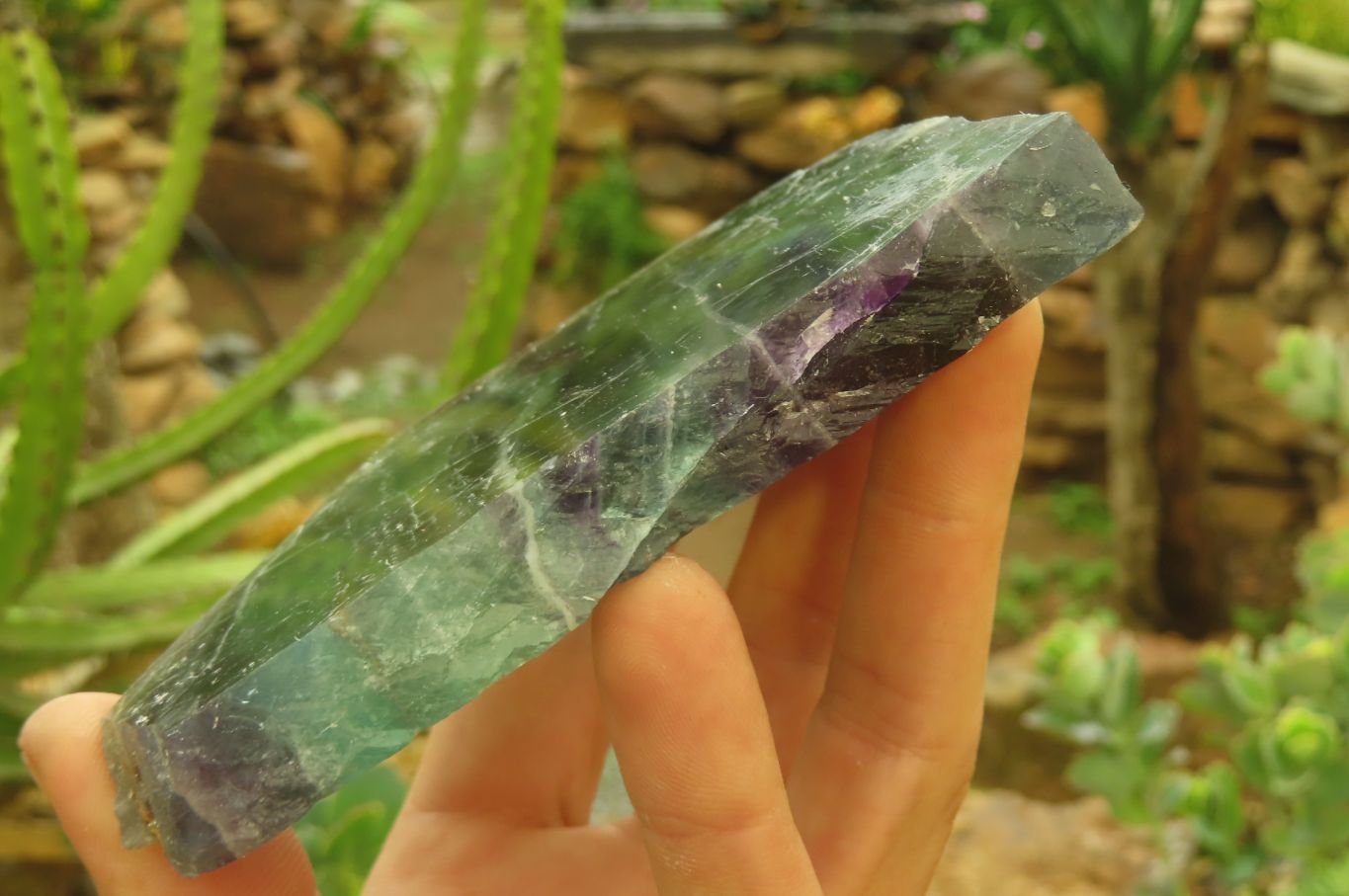 Polished Watermelon Fluorite Slices x 4 From Uis, Namibia - Toprock Gemstones and Minerals 