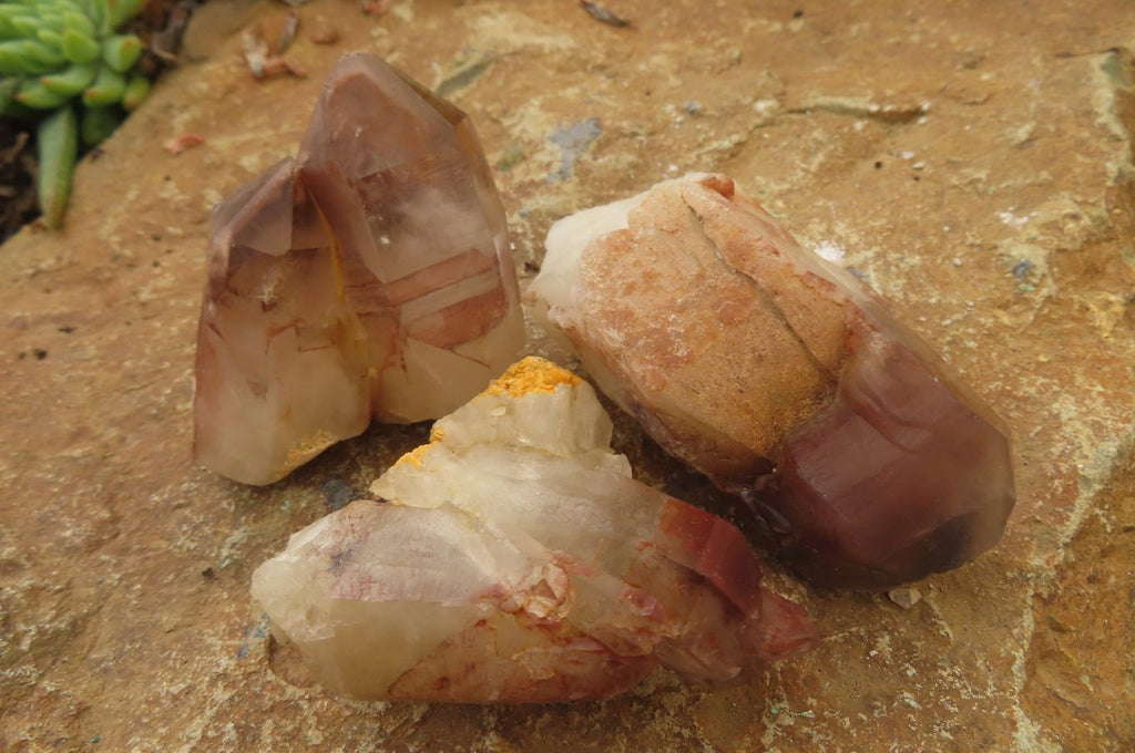 Natural Red Hematoid Quartz Clusters x 12 From Karoi, Zimbabwe - Toprock Gemstones and Minerals 