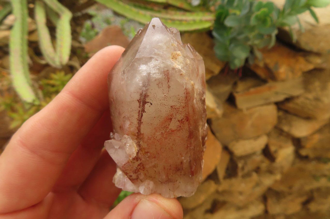 Natural Red Hematoid Quartz Clusters x 12 From Karoi, Zimbabwe - Toprock Gemstones and Minerals 