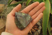 Polished Dragons Blood Stone Points x 6 From Tshipise, South Africa - Toprock Gemstones and Minerals 