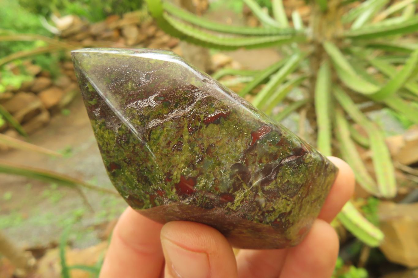Polished Dragons Blood Stone Points x 6 From Tshipise, South Africa - Toprock Gemstones and Minerals 