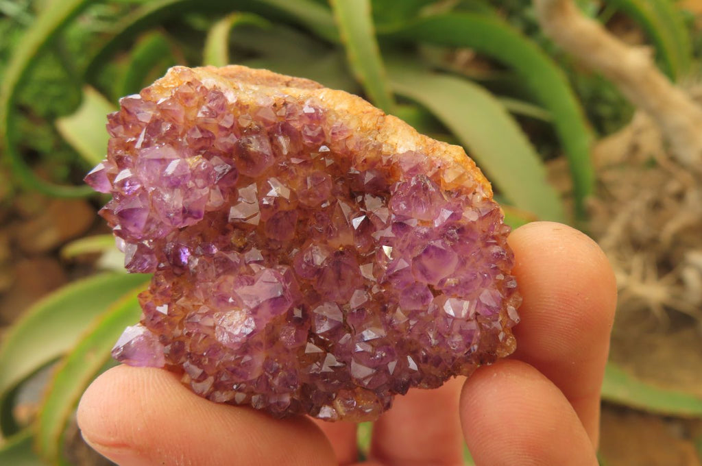 Natural Amethystos Amethyst Specimens x 35 From Kwaggafontein, South Africa - Toprock Gemstones and Minerals 