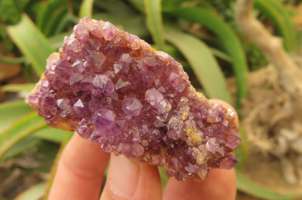 Natural Amethystos Amethyst Specimens x 35 From Kwaggafontein, South Africa - Toprock Gemstones and Minerals 