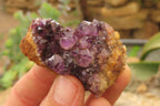 Natural Amethystos Amethyst Specimens x 35 From Kwaggafontein, South Africa - Toprock Gemstones and Minerals 