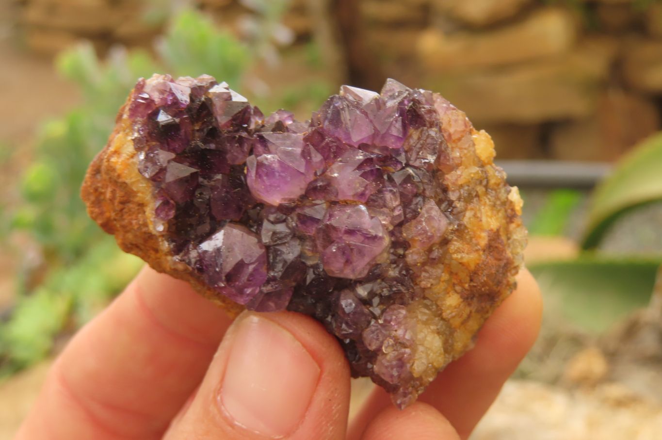Natural Amethystos Amethyst Specimens x 35 From Kwaggafontein, South Africa - Toprock Gemstones and Minerals 