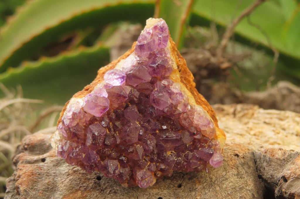 Natural Amethystos Amethyst Specimens x 35 From Kwaggafontein, South Africa - Toprock Gemstones and Minerals 