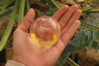 Polished Carnelian Agate in PVC Resin Paperweight Spheres - sold per item - From Madagascar - Toprock Gemstones and Minerals 