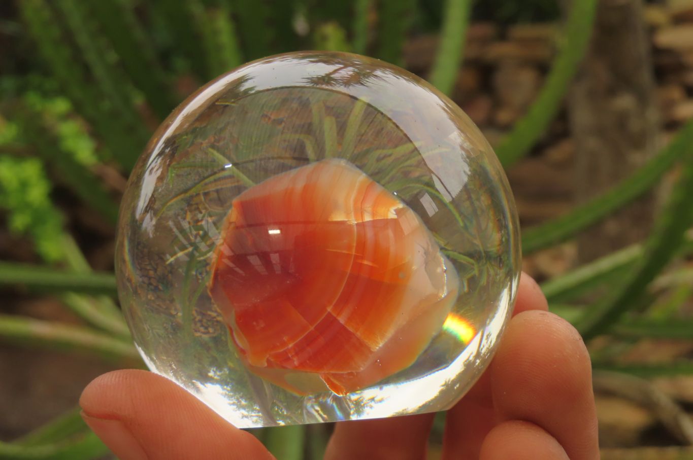 Polished Carnelian Agate in PVC Resin Paperweight Spheres - sold per item - From Madagascar - Toprock Gemstones and Minerals 